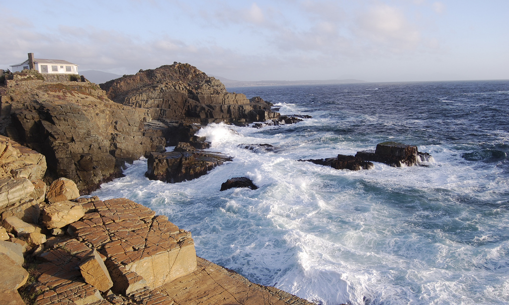 El Día Internacional de la Diversidad Biológica 2012 está dedicado al cuidado bien de la biodiversidad marina en los océanos.