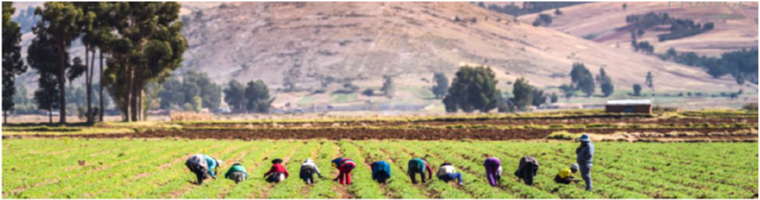 Webinar : Inauguración del curso virtual Bases conceptuales del Acuerdo de París y NDC en el sector agroalimentario