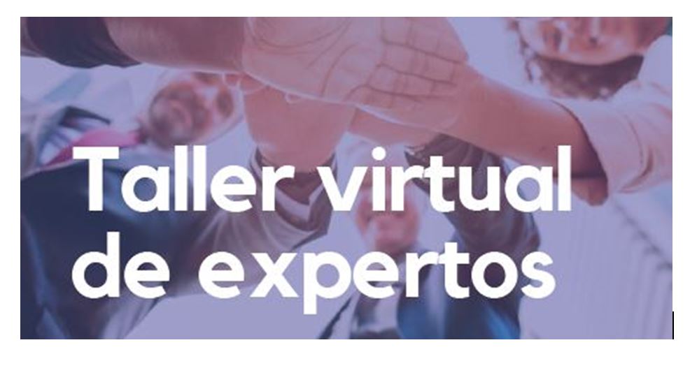 taller_virtual_de_expertos