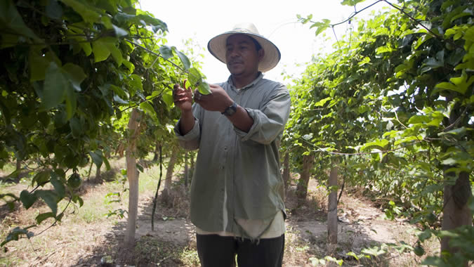 Agricultor in El Salvador