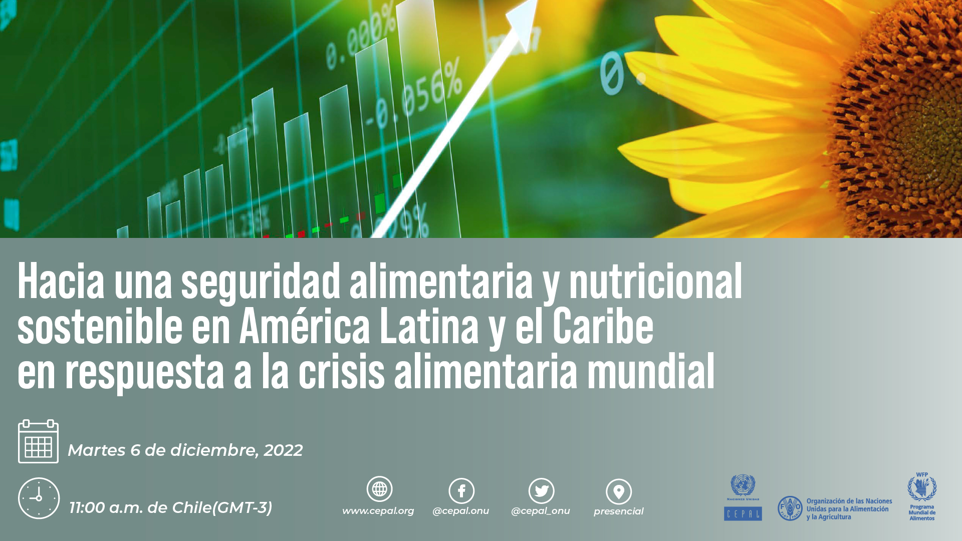 Anuncio policy brief sobre seguridad alimentaria