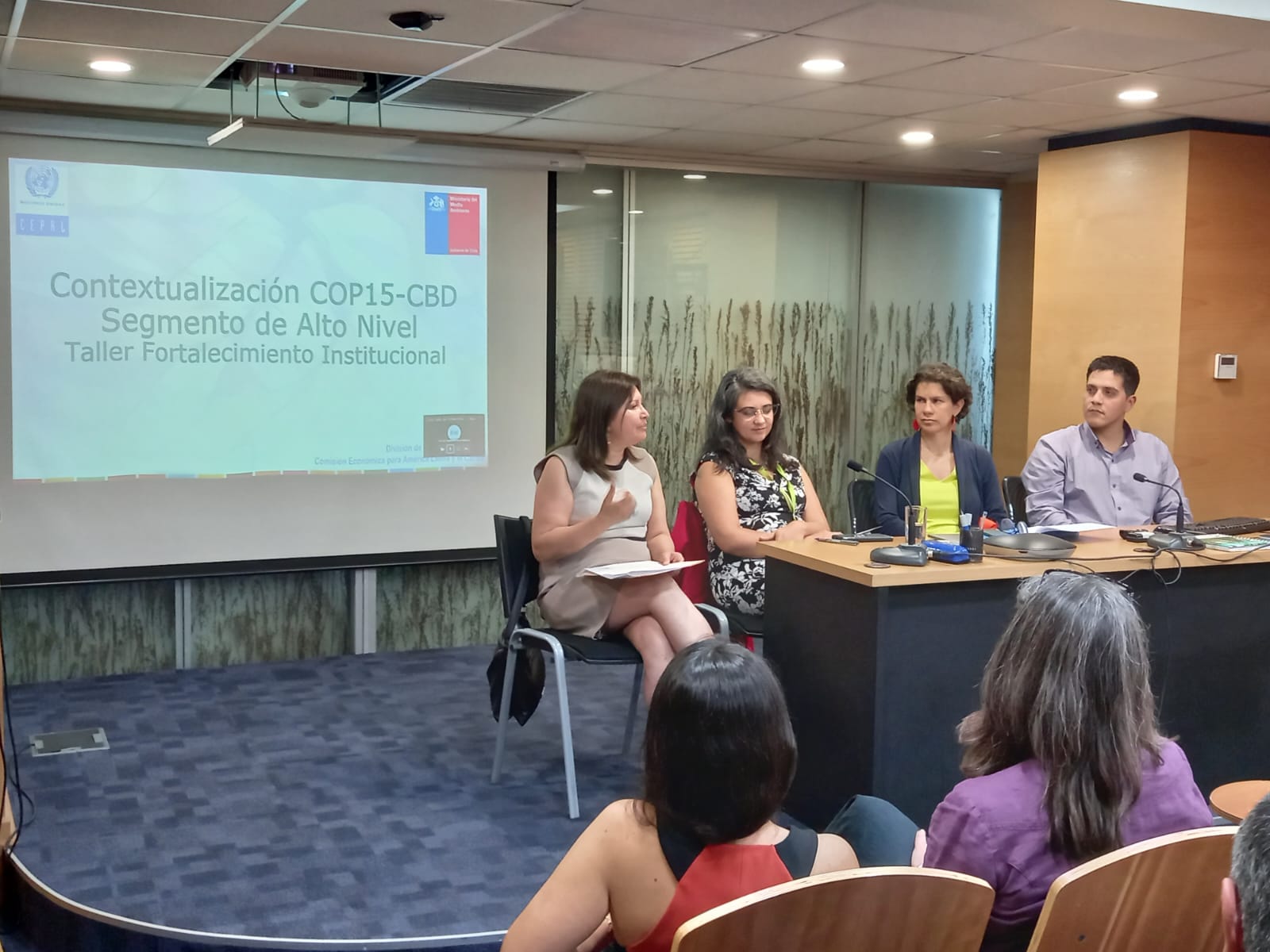 Jeannette Sánchez directora de la DRN en la la tarde del viernes 25