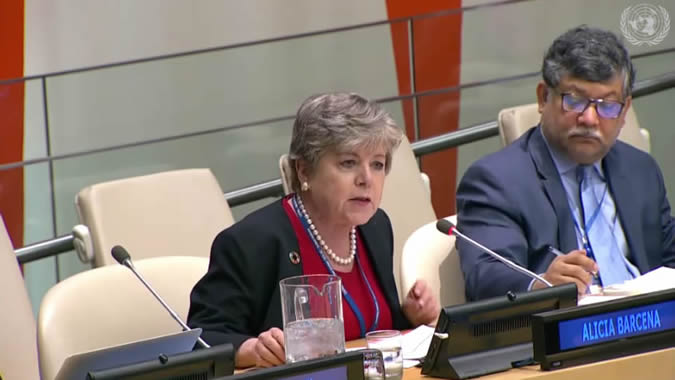 Alicia Bárcena, Secretaria Ejecutiva de la CEPAL, durante su presentación en la reunión del ECOSOC.