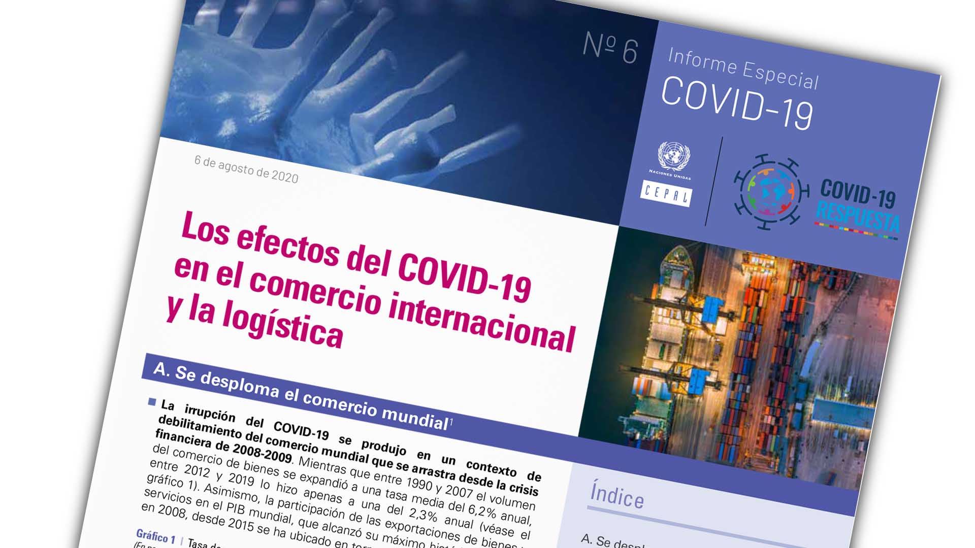 Portada Informe Especial COVID No. 6 comercio y logística