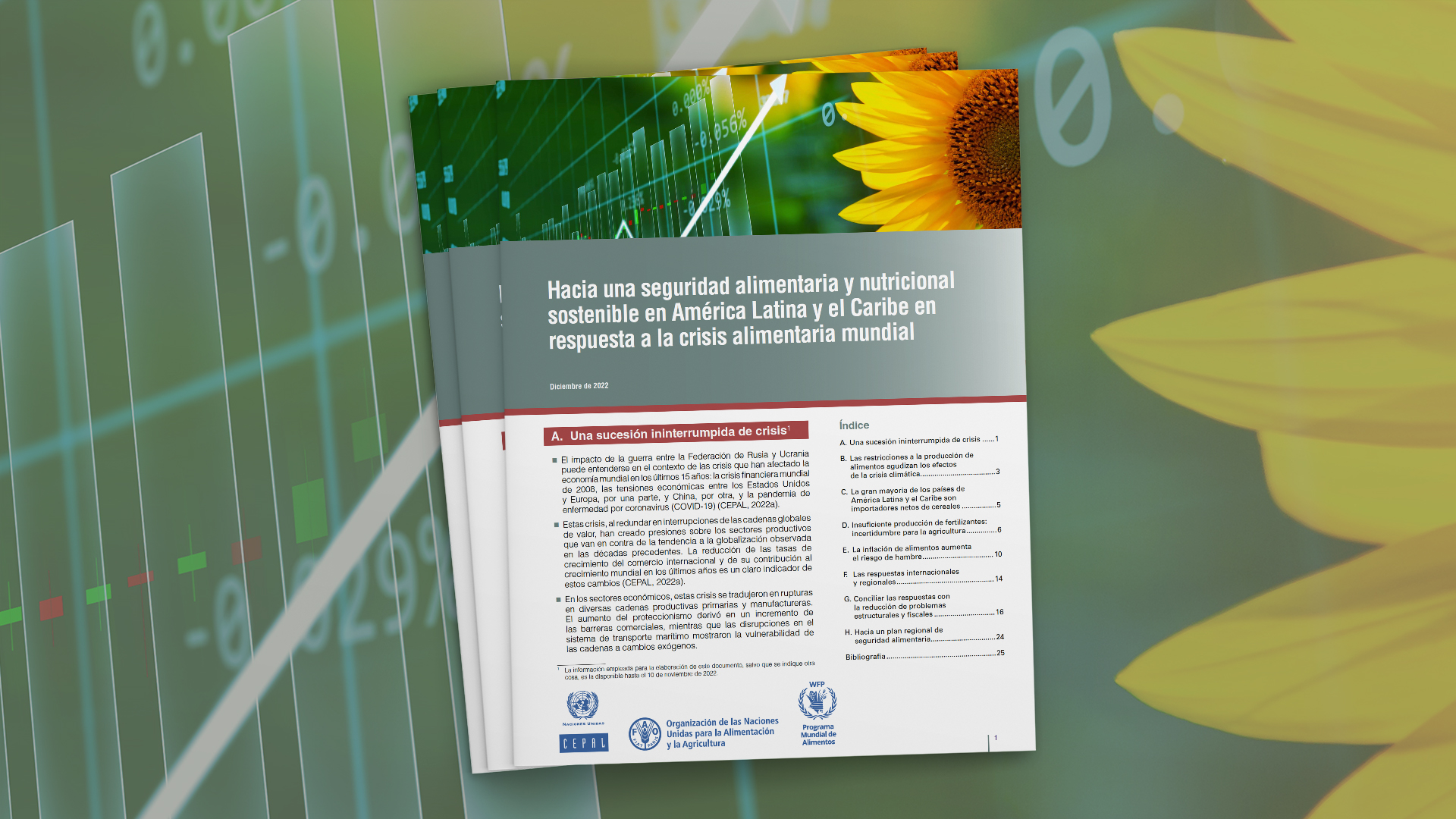 Portada informe especial CEPAL-FAO-WFP sobre seguridad alimentaria