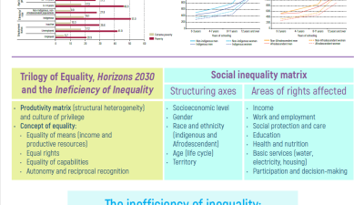 Overcoming the multiple dimensions of social inequality represents a key challenge to sustainable development