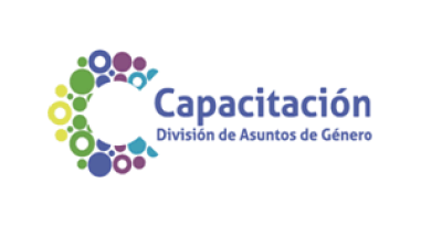 Capacitación División de Asuntos de Género