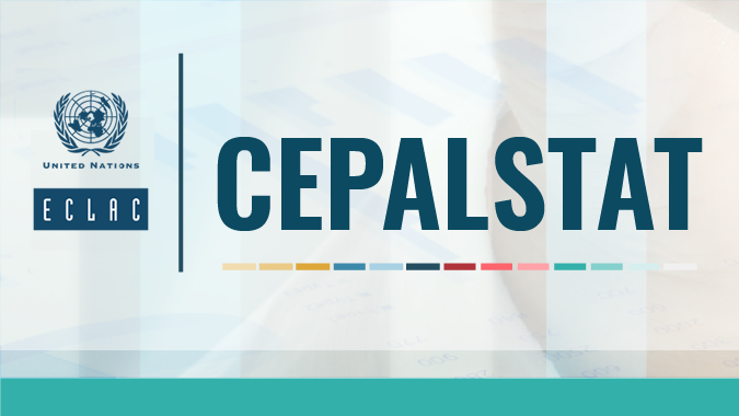 banner cepalstat eng