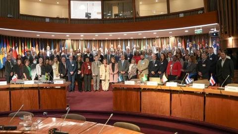 Foto grupal de la Décima sesión de UN-GGIM: Américas