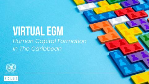 Virtual expert group meeting on human capital formation in the Caribbean, Monday 11 November 2024