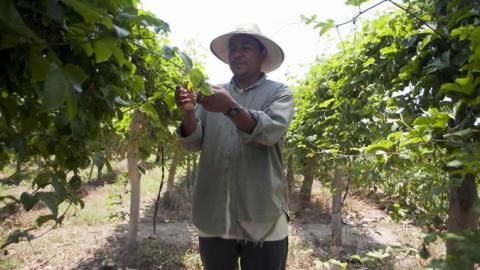 Agricultor en El Salvador