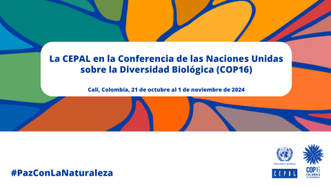 Banner CEPAL en COP16