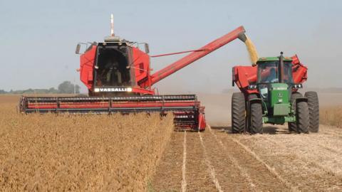 Photo of wheat harvest