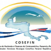 Logo COSEFIN