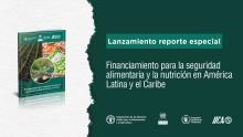 Banner lanzamiento FAO-CEPAL-WFP-IICA