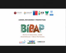 Video del proyecto BIBAP