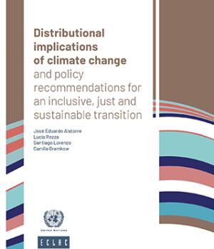 Distributional implications of climate change and policy recommendations for an inclusive, just and sustainable transition