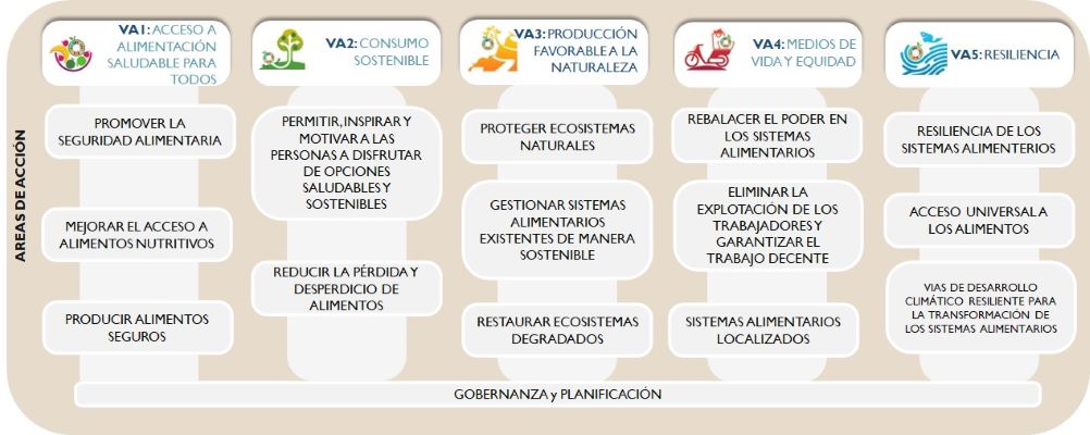 15 áreas de acción